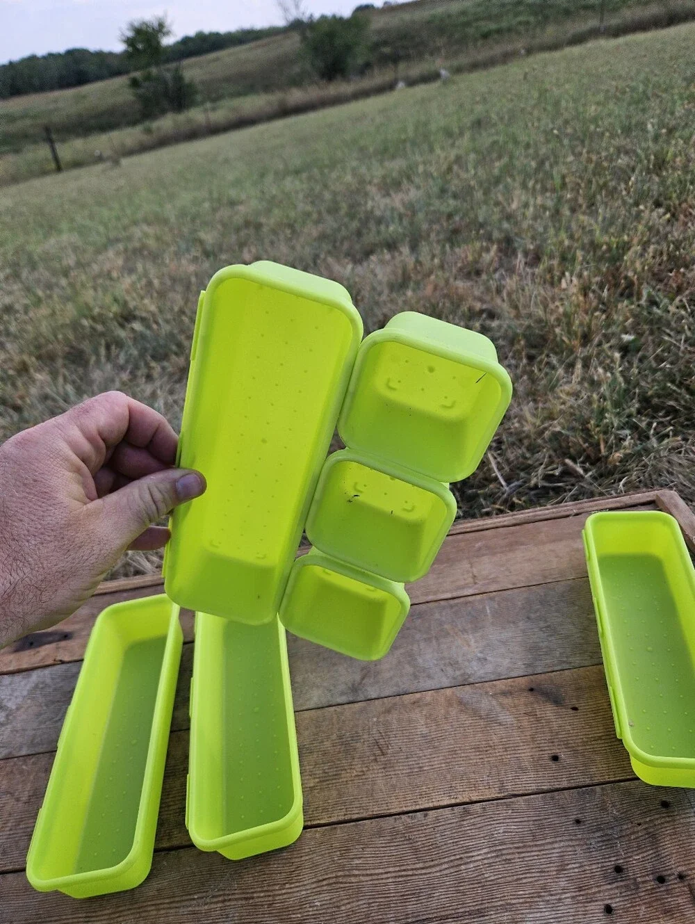 N/A versatile lime